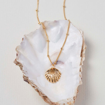 Shell Necklace Gold